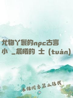 尤物丫鬟的npc古言小說