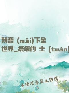 我要買(mǎi)下全世界