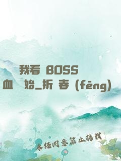 無敵從我看見BOSS血條開始