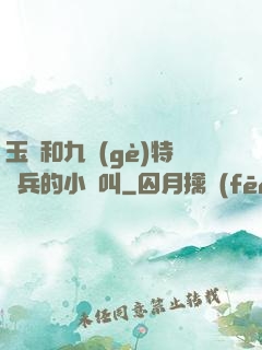 玉兒和九個(gè)特種兵的小說叫
